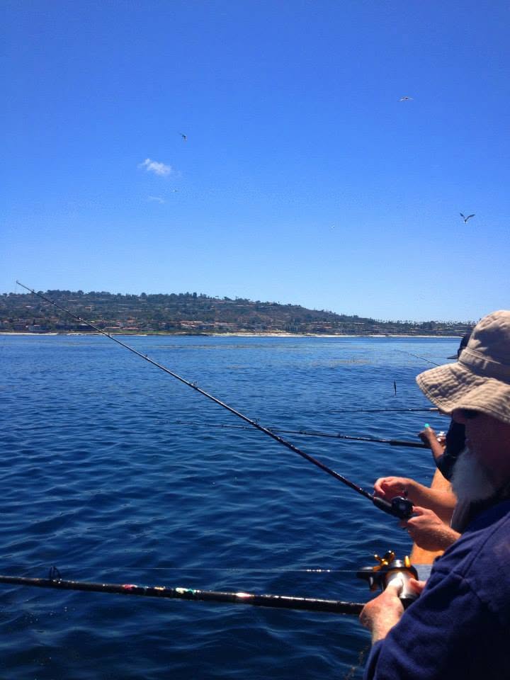 Anglers surveyed as part of the CRFS programme
