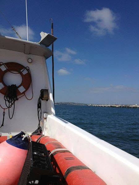 View from the boat approaching San Diego harbor