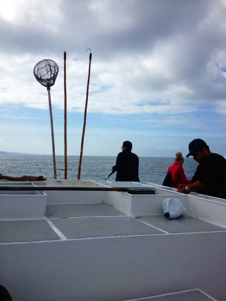 On deck with dip nets, overcast survey day