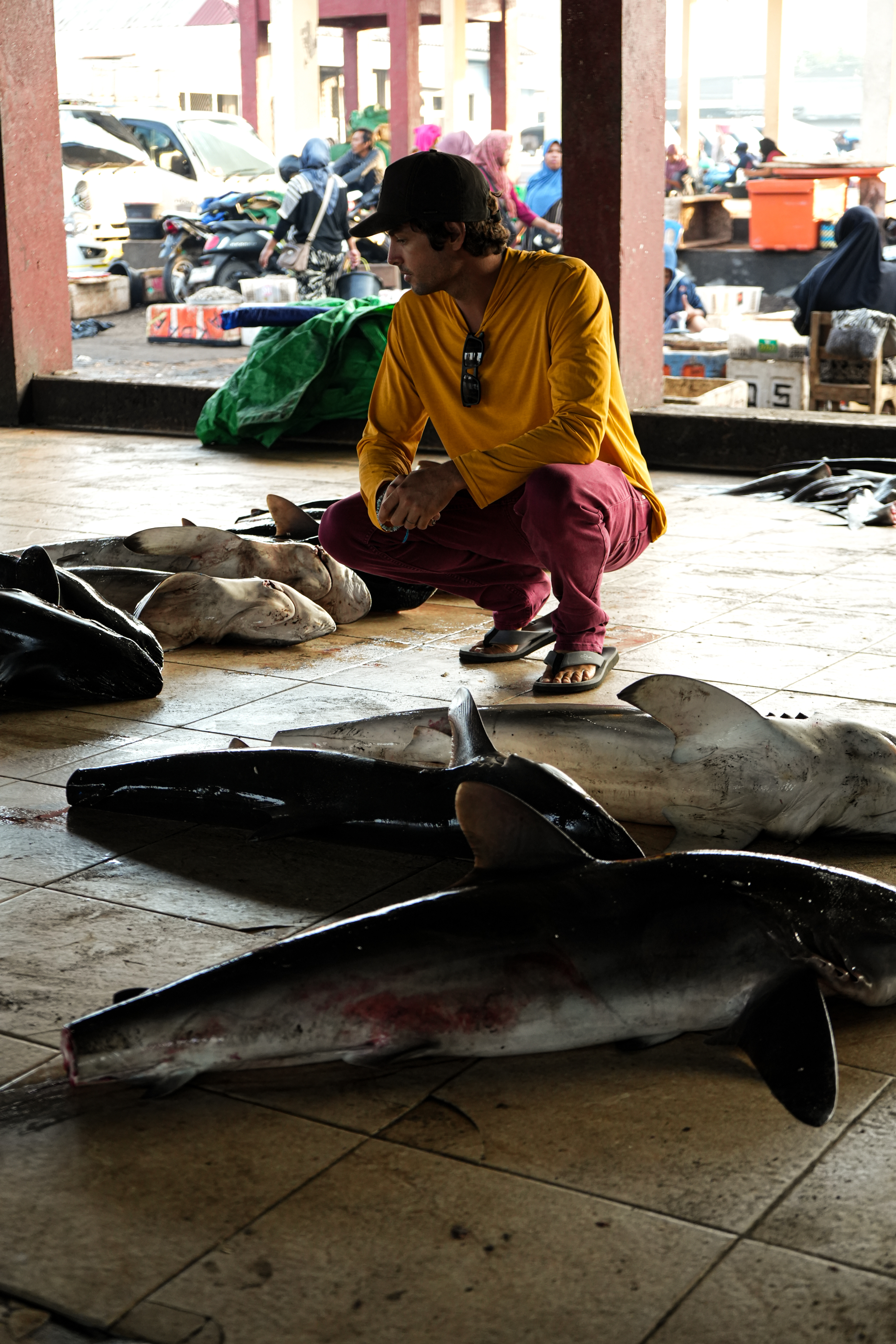Surveying the day's catch at the fish market