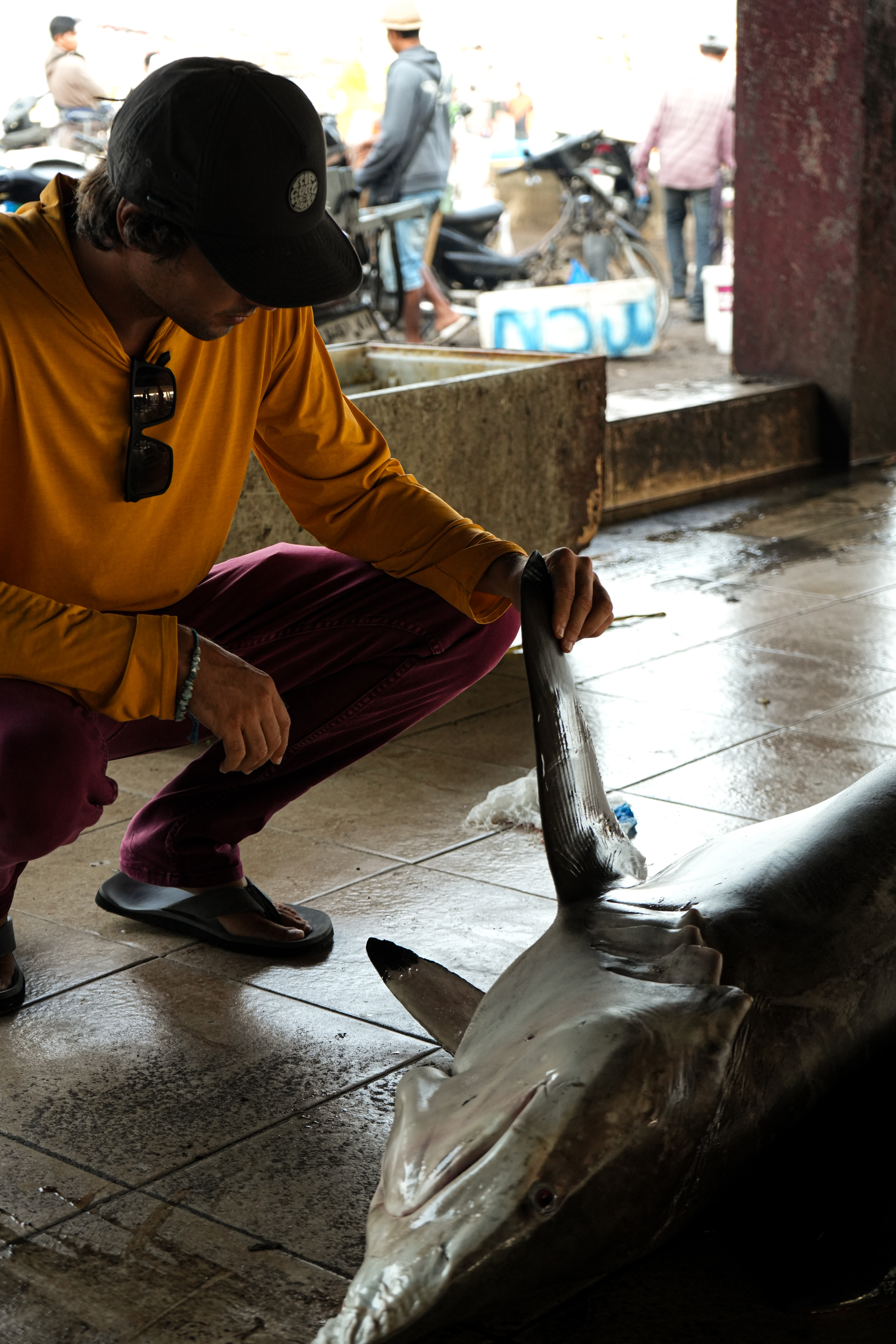 Fin measurement and identification work