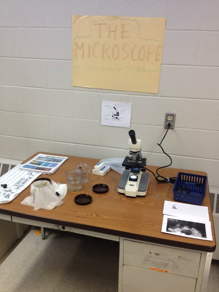 Microscope station set up for a phytoplankton lesson