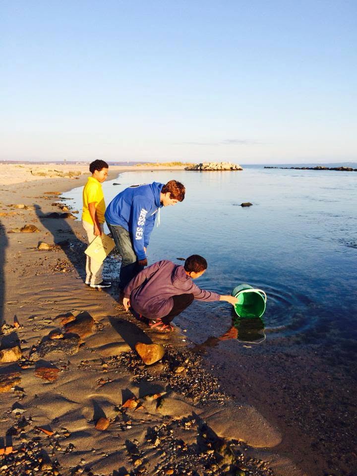 Students collecting a water sample on the shoreline