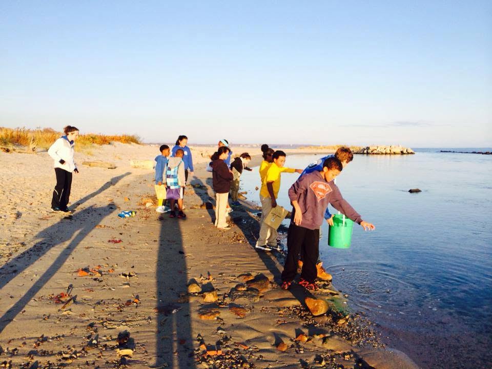 Students releasing a sample back into the water