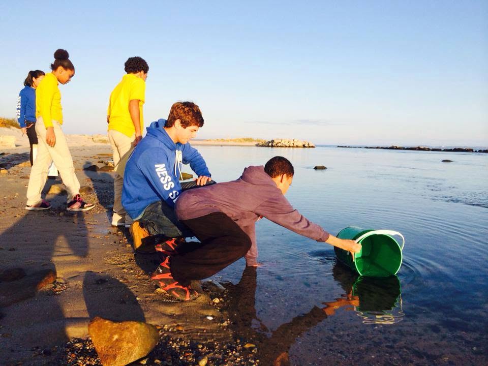 Students at the shoreline during a field lesson