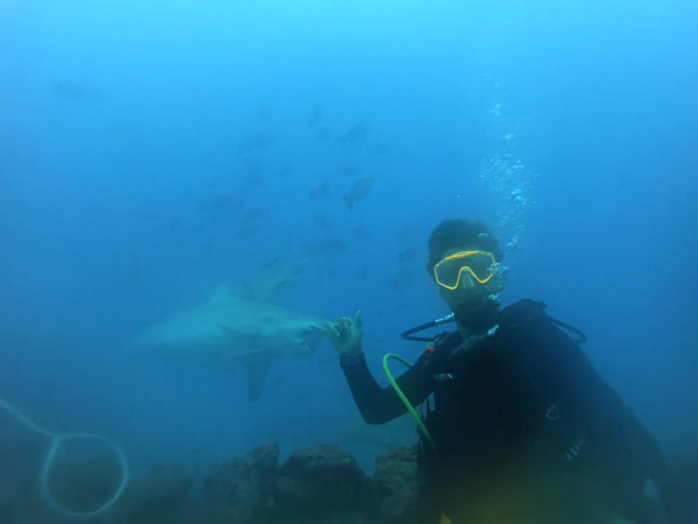 Cody diving alongside a bull shark, Fiji