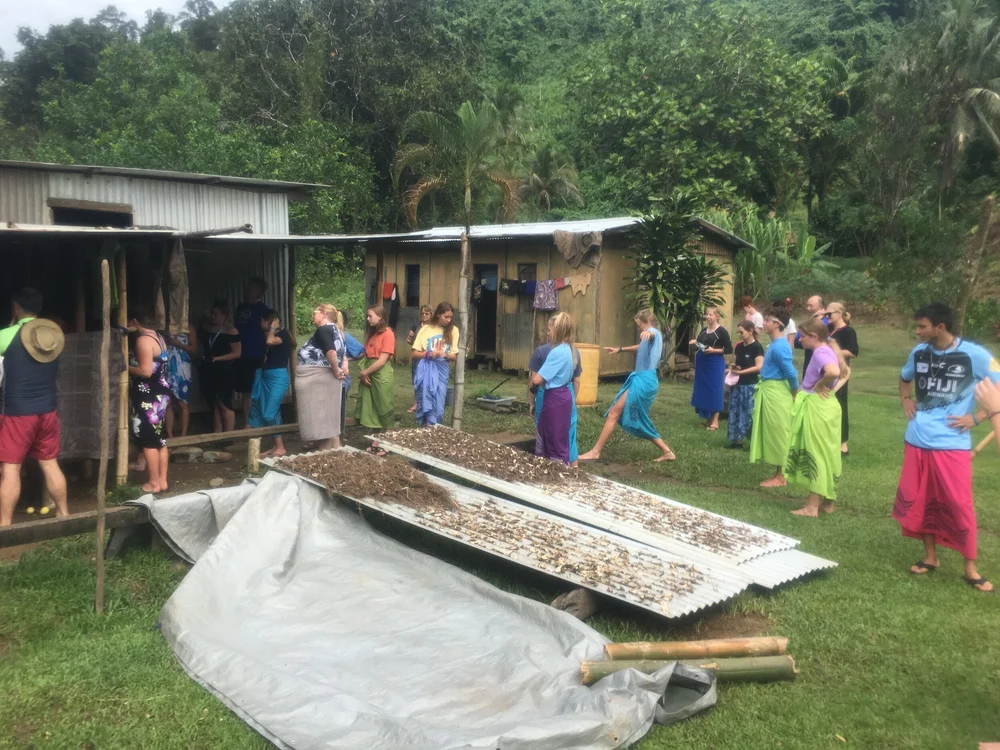 Village ceremony and preparation, Fiji