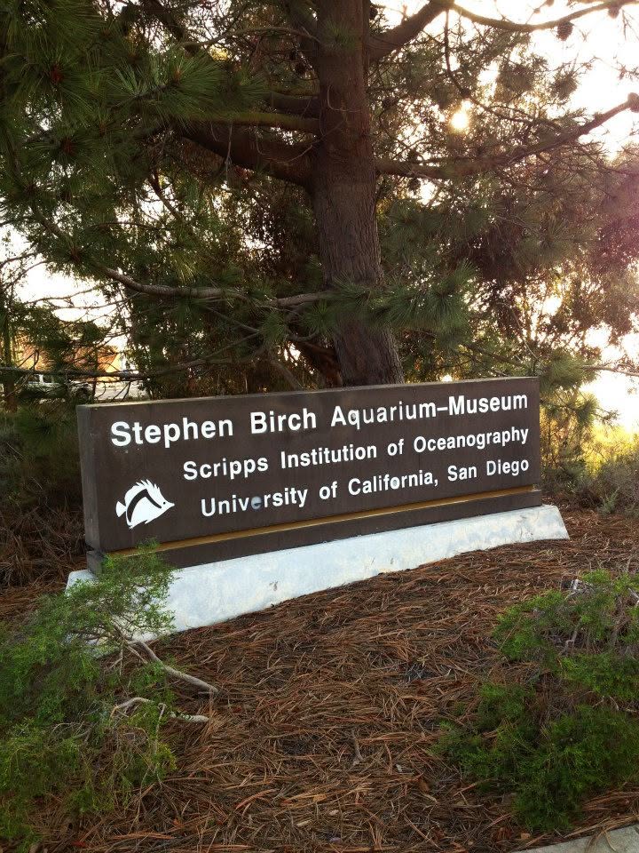 Stephen Birch Aquarium — Scripps Institution of Oceanography