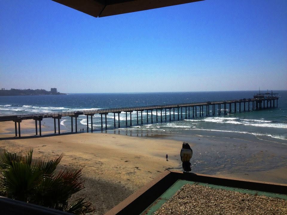 Scripps Pier — La Jolla