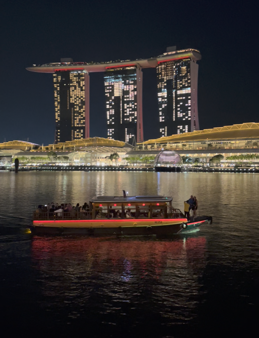 Marina Bay Sands skyline at night, Singapore